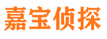 天心市调查公司